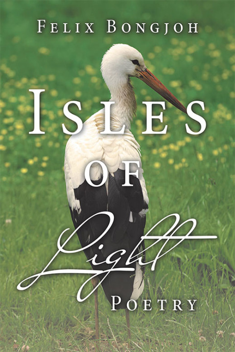 Cover image for book Isles of Light
