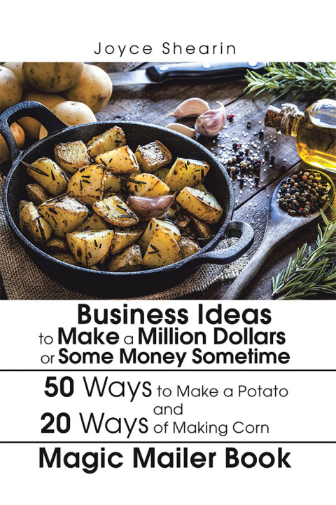 Cover image for book Business Ideas to Make a Million Dollars or Some Money Sometime