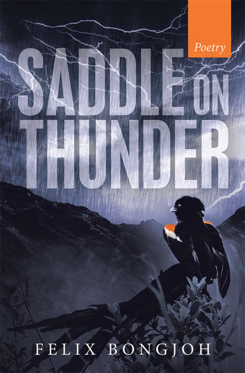 Cover image for book Saddle on Thunder