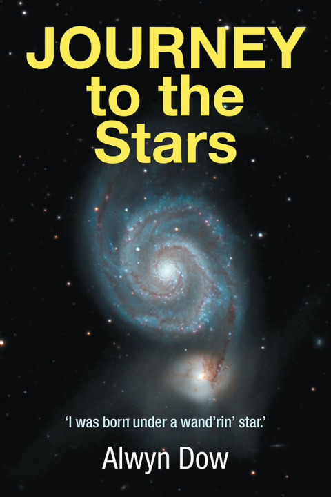 Cover image for book Journey to the Stars