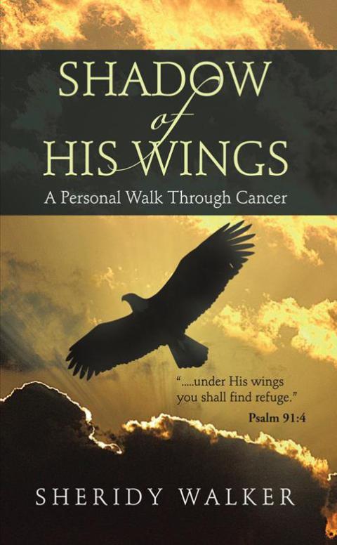 Cover image for book Shadow of His Wings