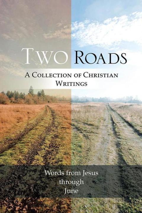 Cover image for book Two Roads