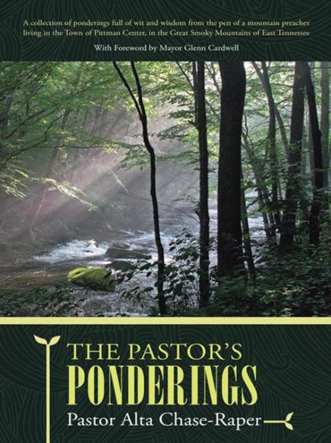 Cover image for book The Pastor's Ponderings
