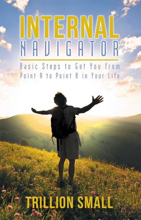 Cover image for book Internal Navigator