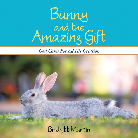 Cover image for book Bunny and the Amazing Gift