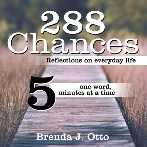 Cover image for book 288 Chances