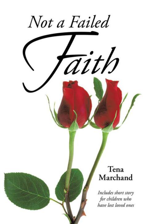 Cover image for book Not a Failed Faith