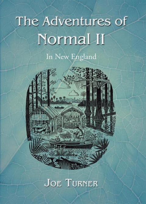 Cover image for book The Adventures of Normal Ii