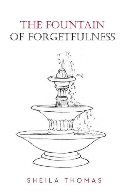 Cover image for book The Fountain of Forgetfulness