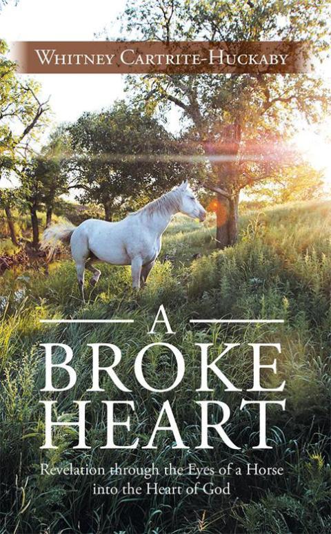 Cover image for book A Broke Heart