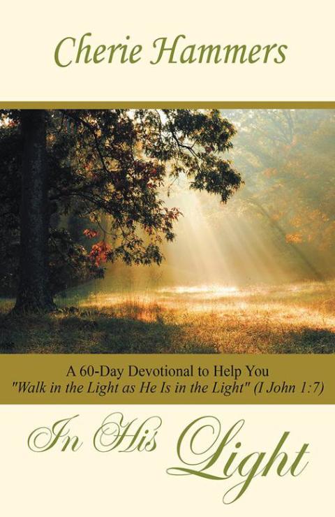 Cover image for book In His Light