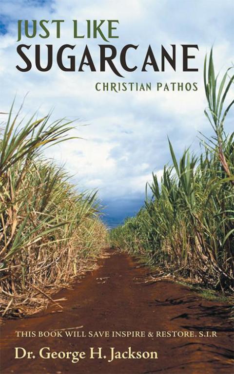 Cover image for book Just Like Sugarcane