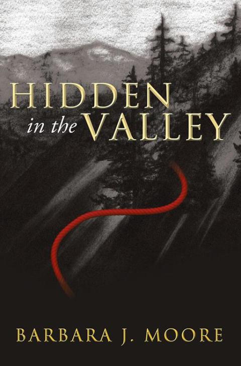 Cover image for book Hidden in the Valley