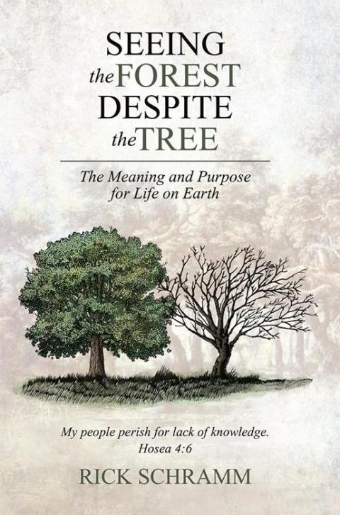 Cover image for book Seeing the Forest Despite the Tree