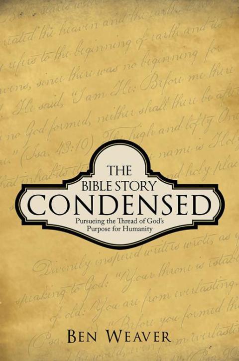 Cover image for book The Bible Story Condensed