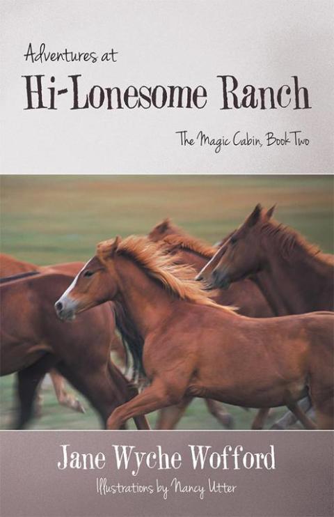 Cover image for book Adventures at Hi-Lonesome Ranch