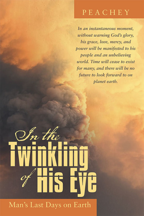 Cover image for book In the Twinkling of His Eye