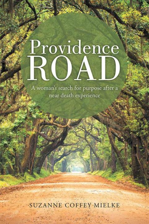 Cover image for book Providence Road