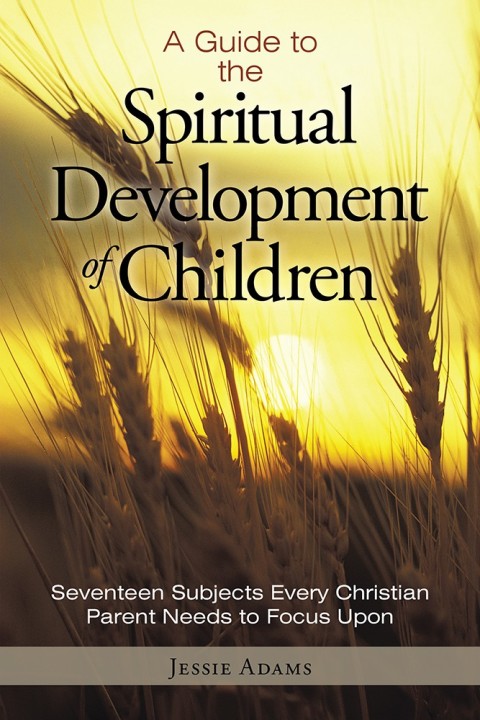 Cover image for book A Guide to the Spiritual Development of Children