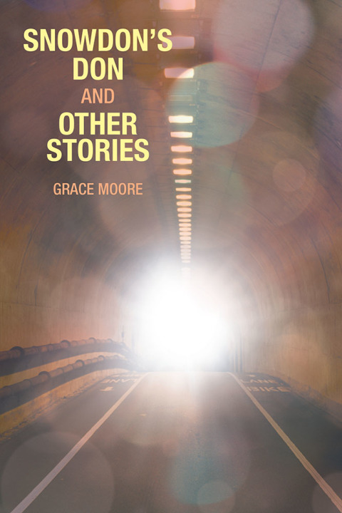 Cover image for book Snowdon’s Don and Other Stories