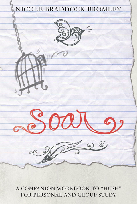Cover image for book Soar