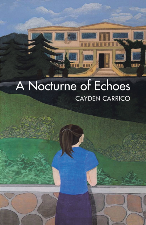 Cover image for book A Nocturne of Echoes
