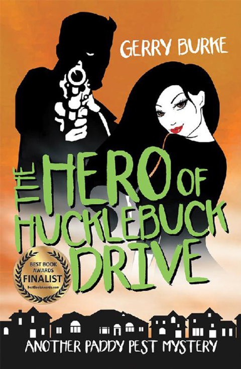 Cover image for book The Hero of Hucklebuck Drive