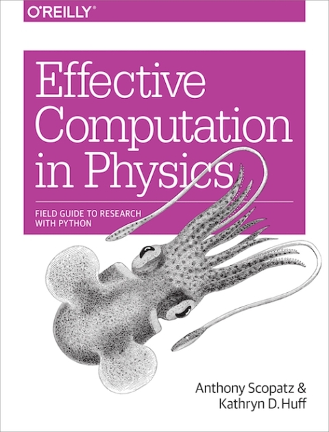 Cover image for book Effective Computation in Physics
