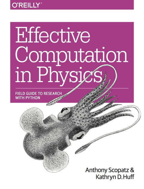 Cover image for book Effective Computation in Physics
