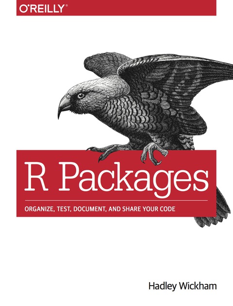 Cover image for book R Packages