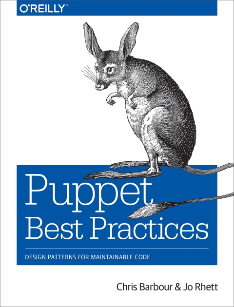 Cover image for book Puppet Best Practices