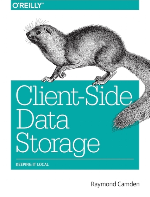 Cover image for book Client-Side Data Storage
