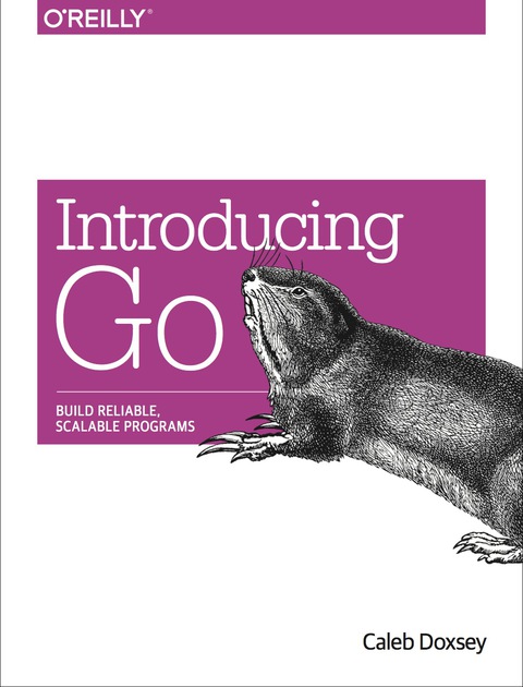Cover image for book Introducing Go