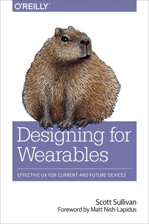 Cover image for book Designing for Wearables