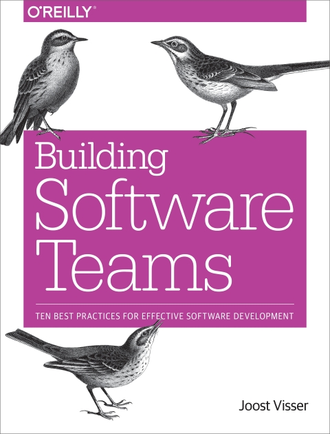 Building Software Teams 