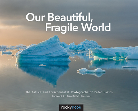 Cover image for book Our Beautiful, Fragile World