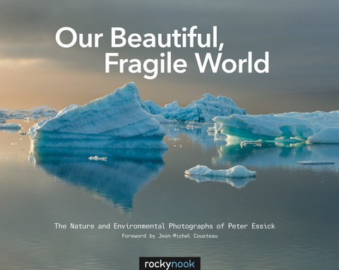 Cover image for book Our Beautiful, Fragile World