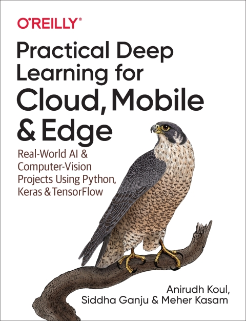Cover image for book Practical Deep Learning for Cloud, Mobile, and Edge