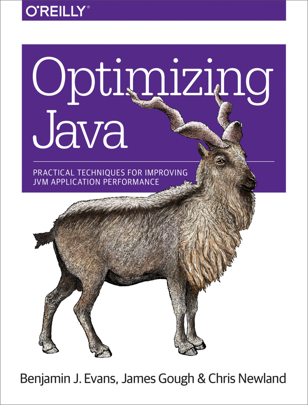 Optimizing Java - 1st Edition (eBook)