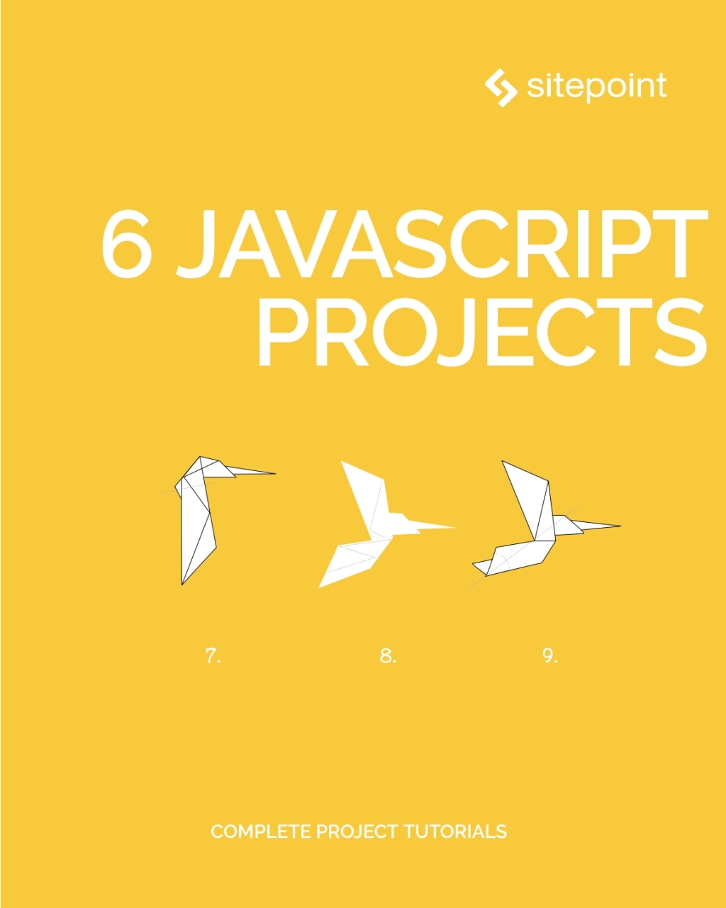 6 JavaScript Projects - 1st Edition (eBook)
