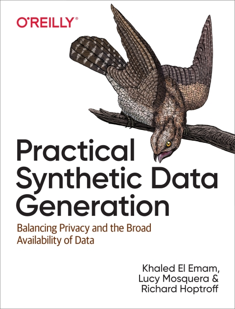 Cover image for book Practical Synthetic Data Generation