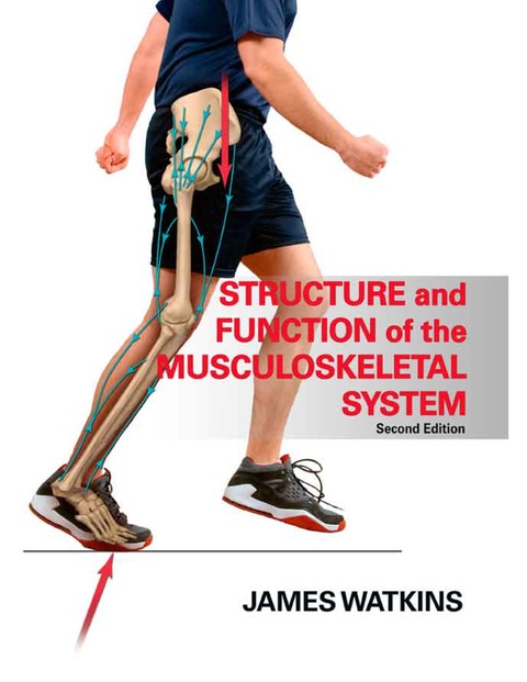 Cover image for book Structure and Function of the Musculoskeletal System-2nd Edition