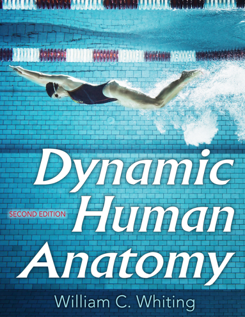 Cover image for book Dynamic Human Anatomy