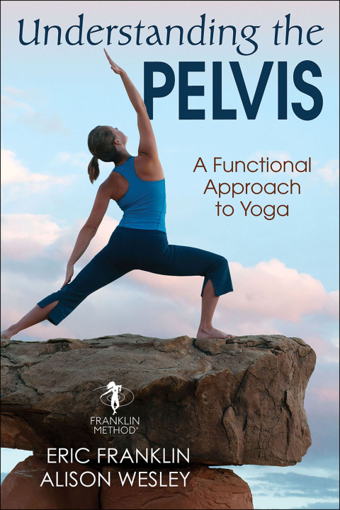 Cover image for book Understanding the Pelvis
