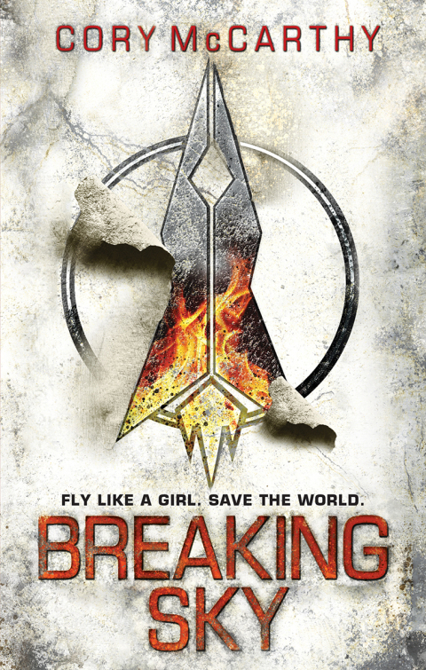 Cover image for book Breaking Sky