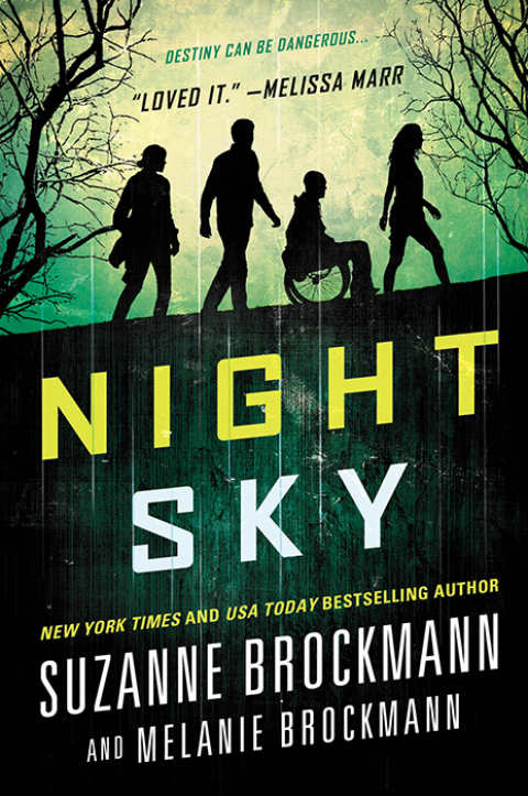 Cover image for book Night Sky