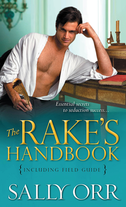 Cover image for book The Rake's Handbook