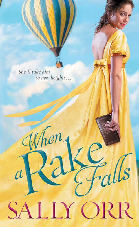 Cover image for book When a Rake Falls
