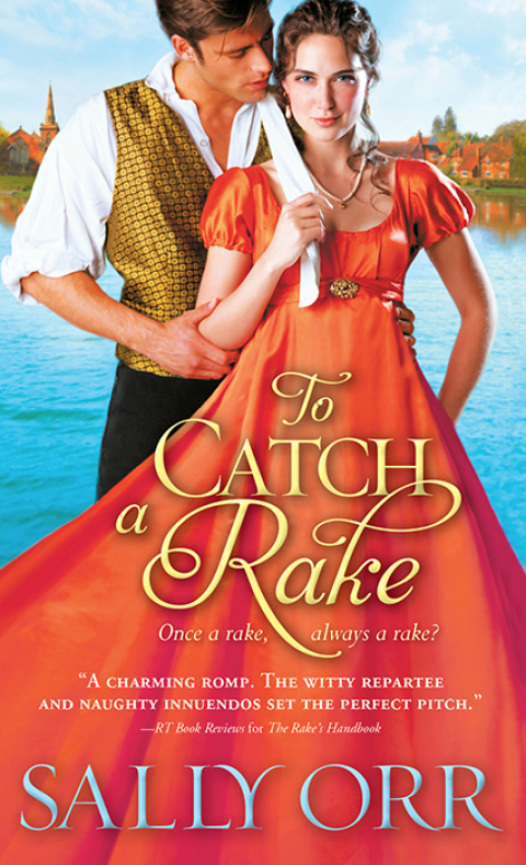 Cover image for book To Catch a Rake