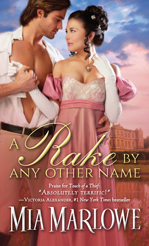 Cover image for book A Rake by Any Other Name